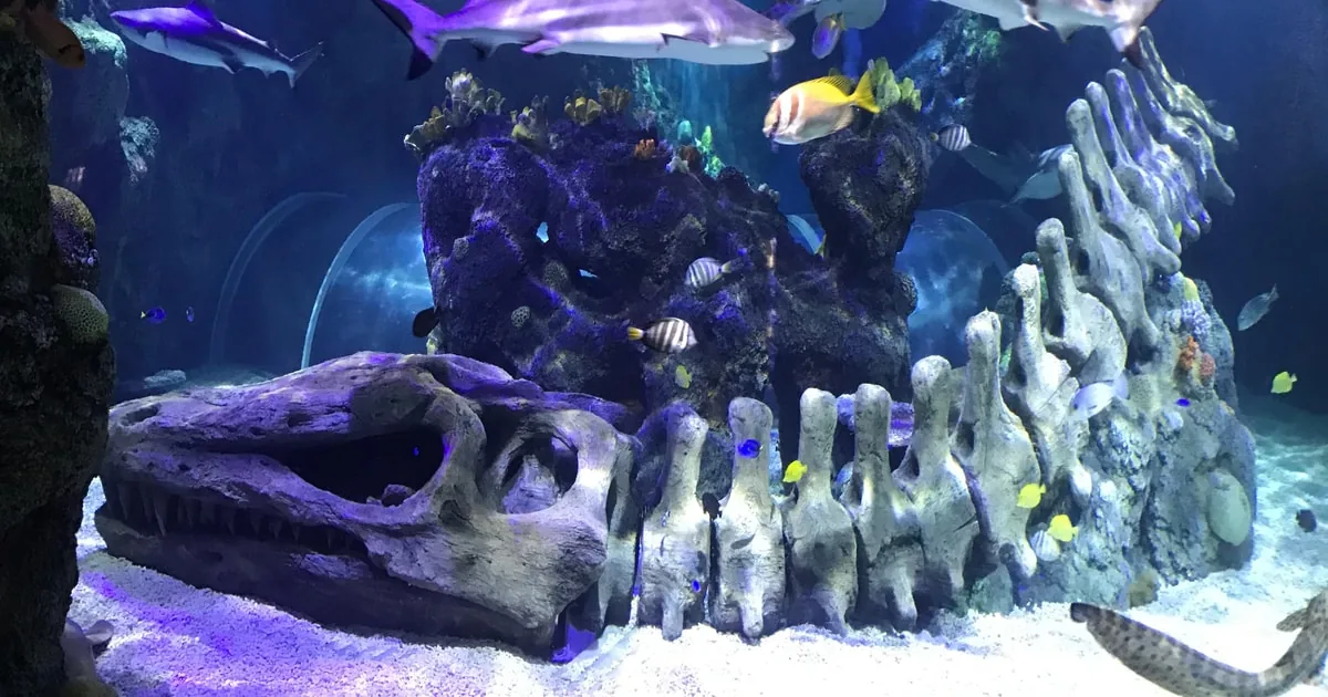 Benalmádena: Sea Life Aquarium Entry